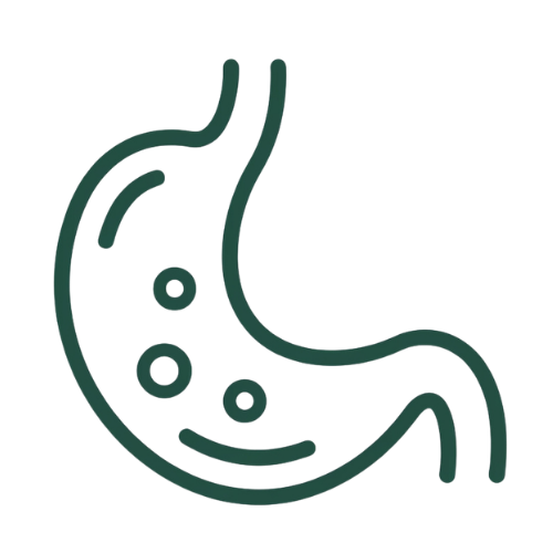 Gut Health
